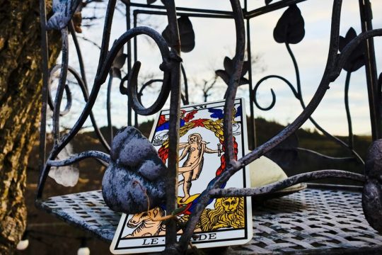 taro tou odyssea
